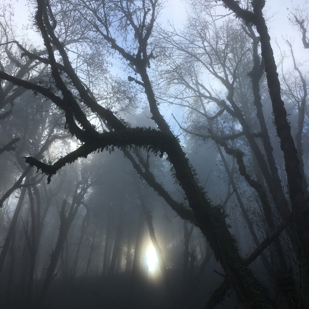 Meet your Posher, Mira